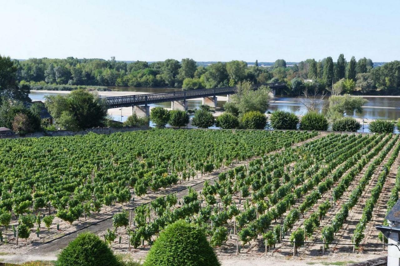 Gite Des Chaumiennes Pouilly-sur-Loire Luaran gambar