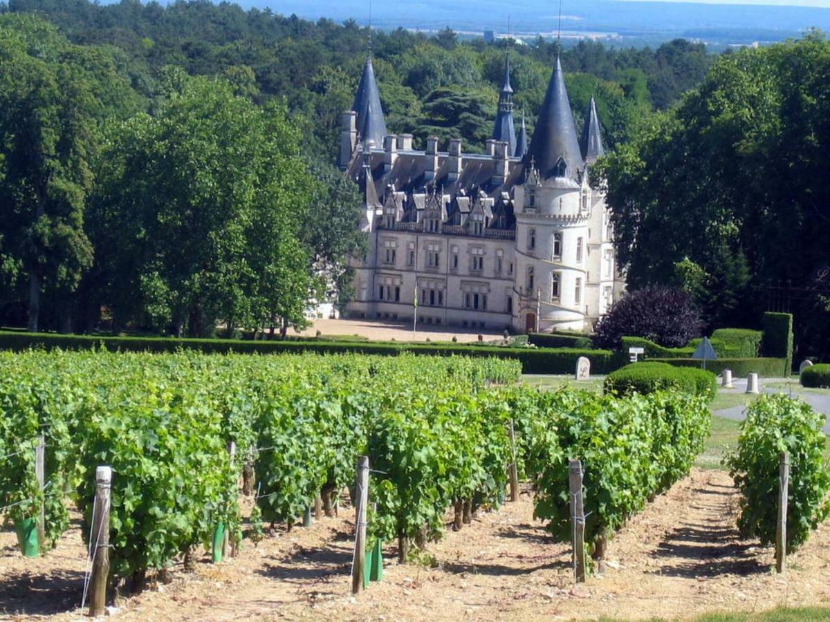 Gite Des Chaumiennes Pouilly-sur-Loire Luaran gambar