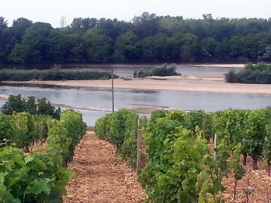 Gite Des Chaumiennes Pouilly-sur-Loire Luaran gambar